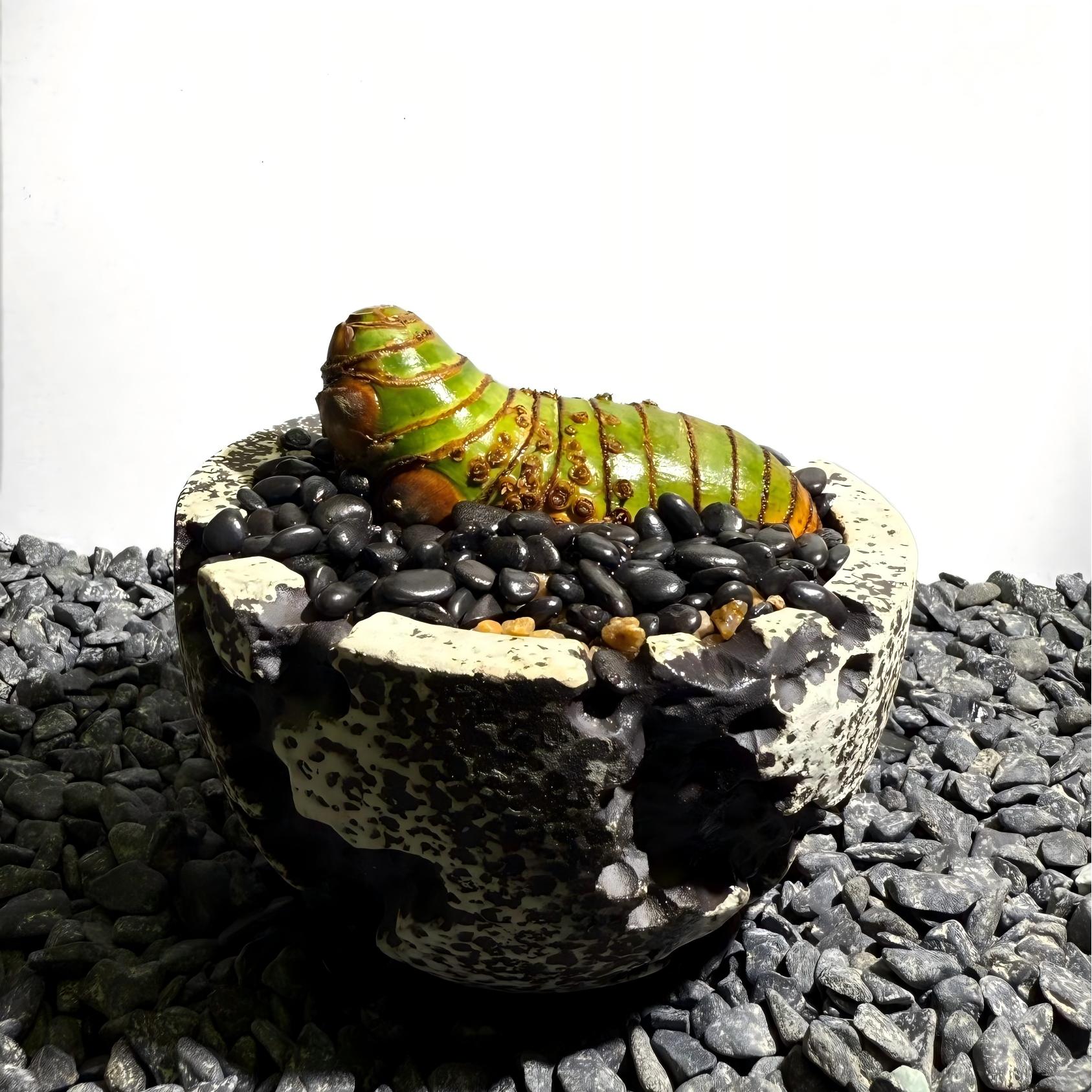 Insect Bamboo  Number001