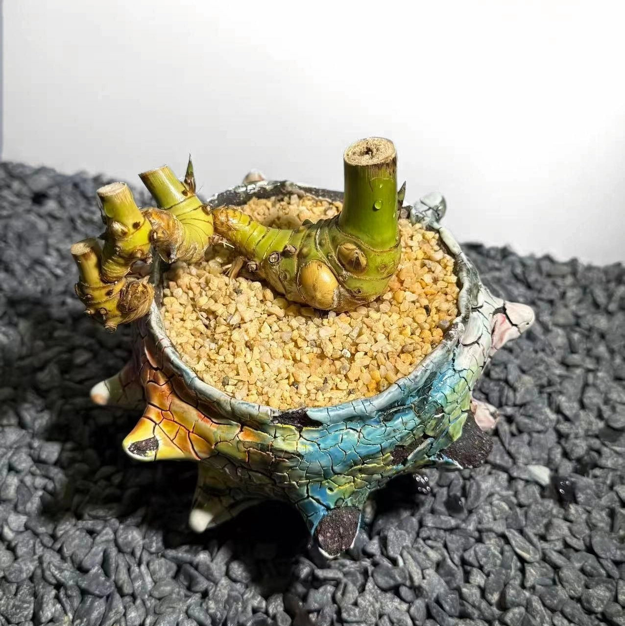 Twin Stems Bamboo Number001