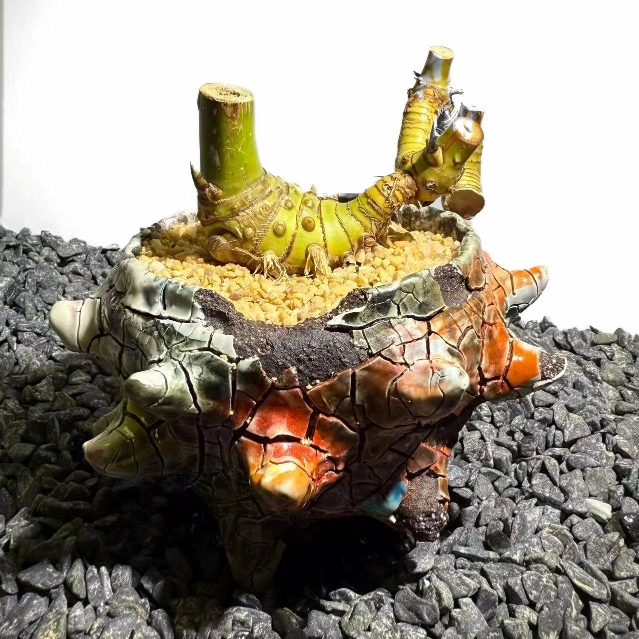 Twin Stems Bamboo Number001