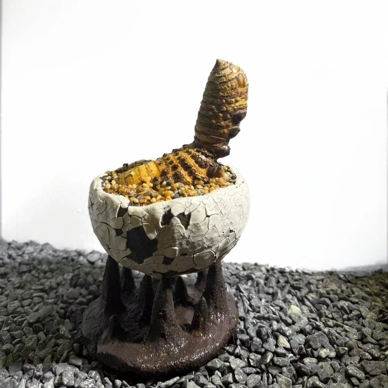 Insect Bamboo  Number005