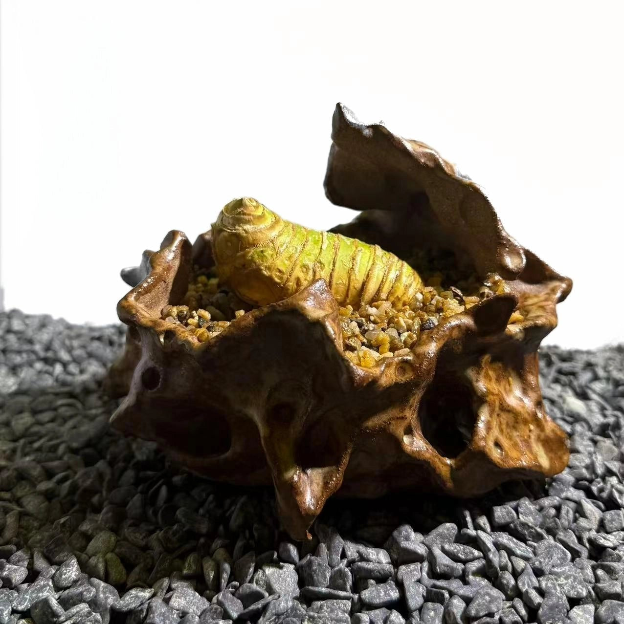 Insect Bamboo  Number008