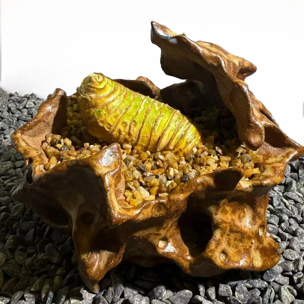 Insect Bamboo  Number008