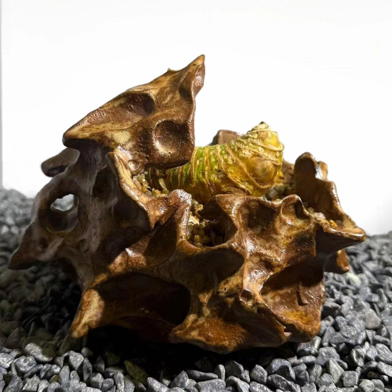 Insect Bamboo  Number008