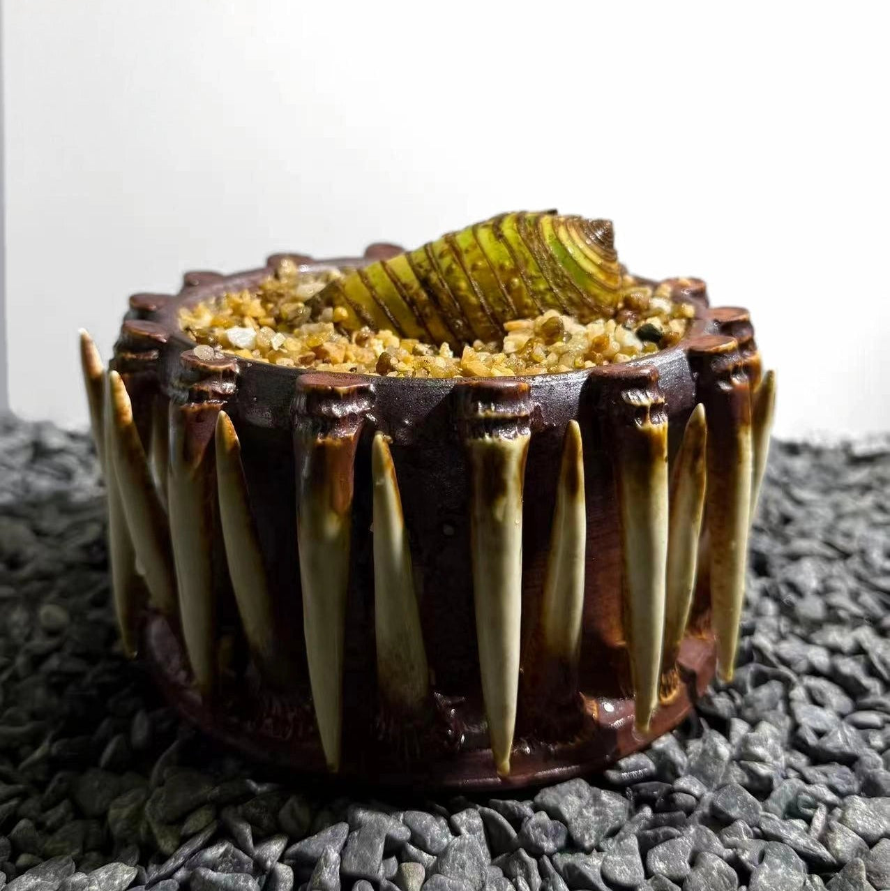 Insect Bamboo  Number009