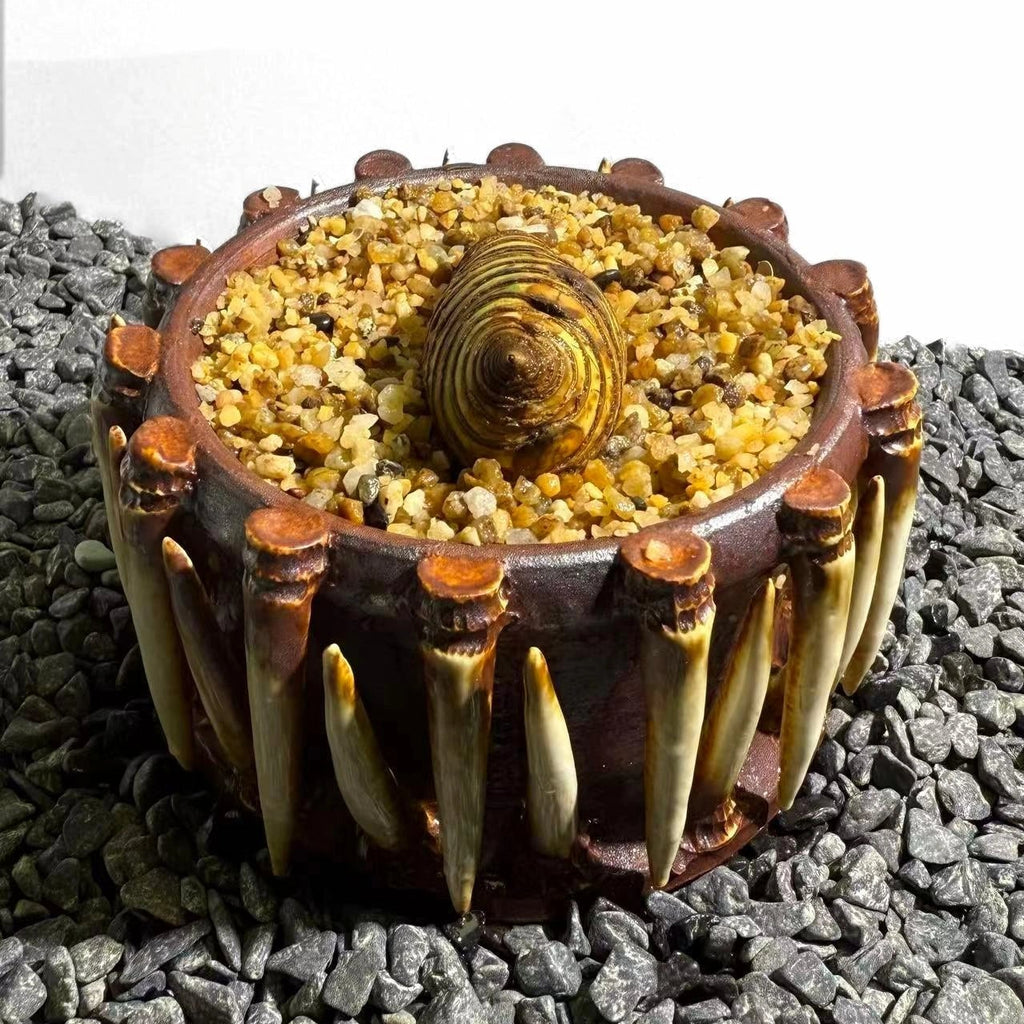 Insect Bamboo  Number009