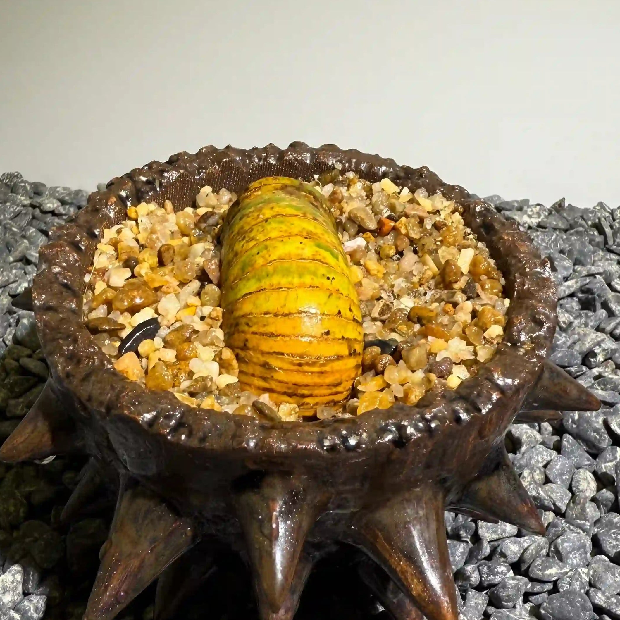 Insect Bamboo  Number010