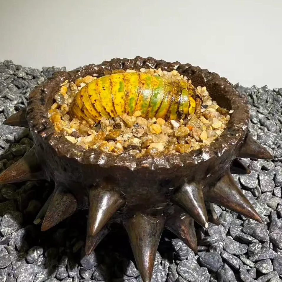 Insect Bamboo  Number010