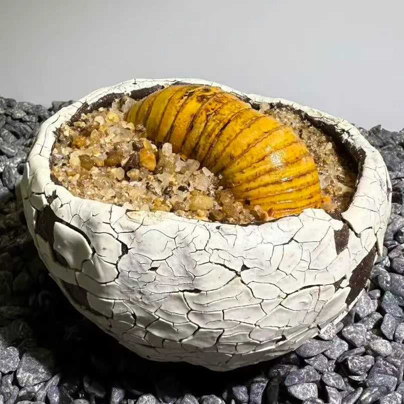 Insect Bamboo  Number011