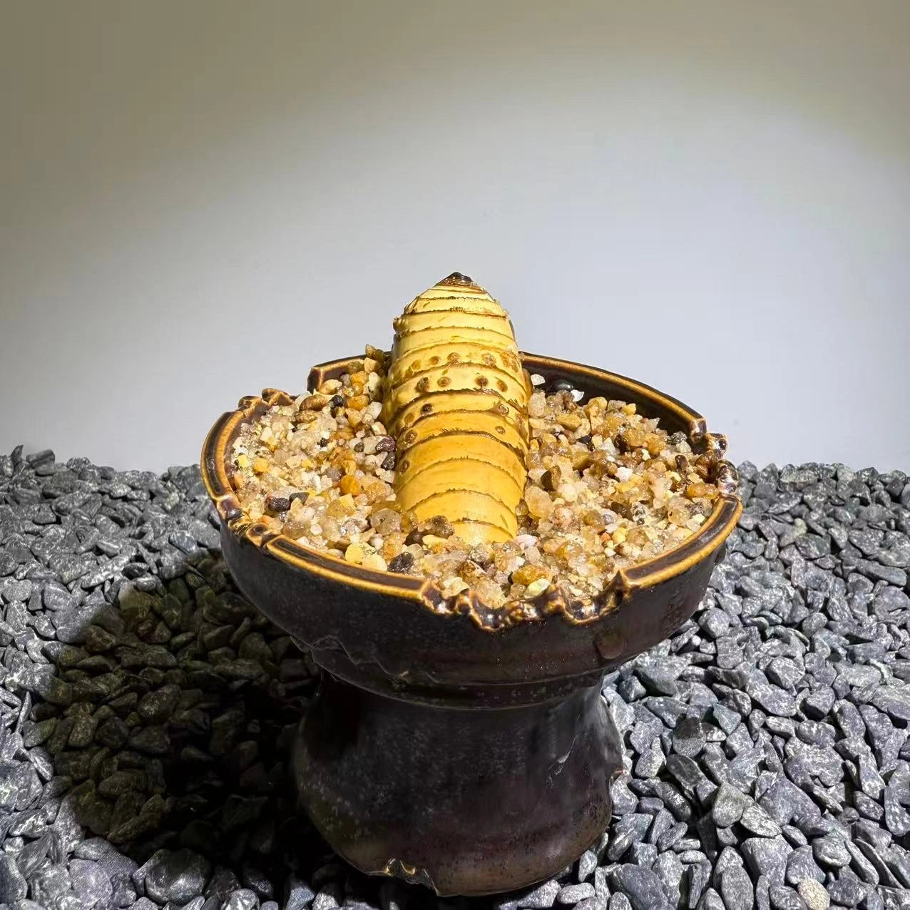 Insect Bamboo  Number013