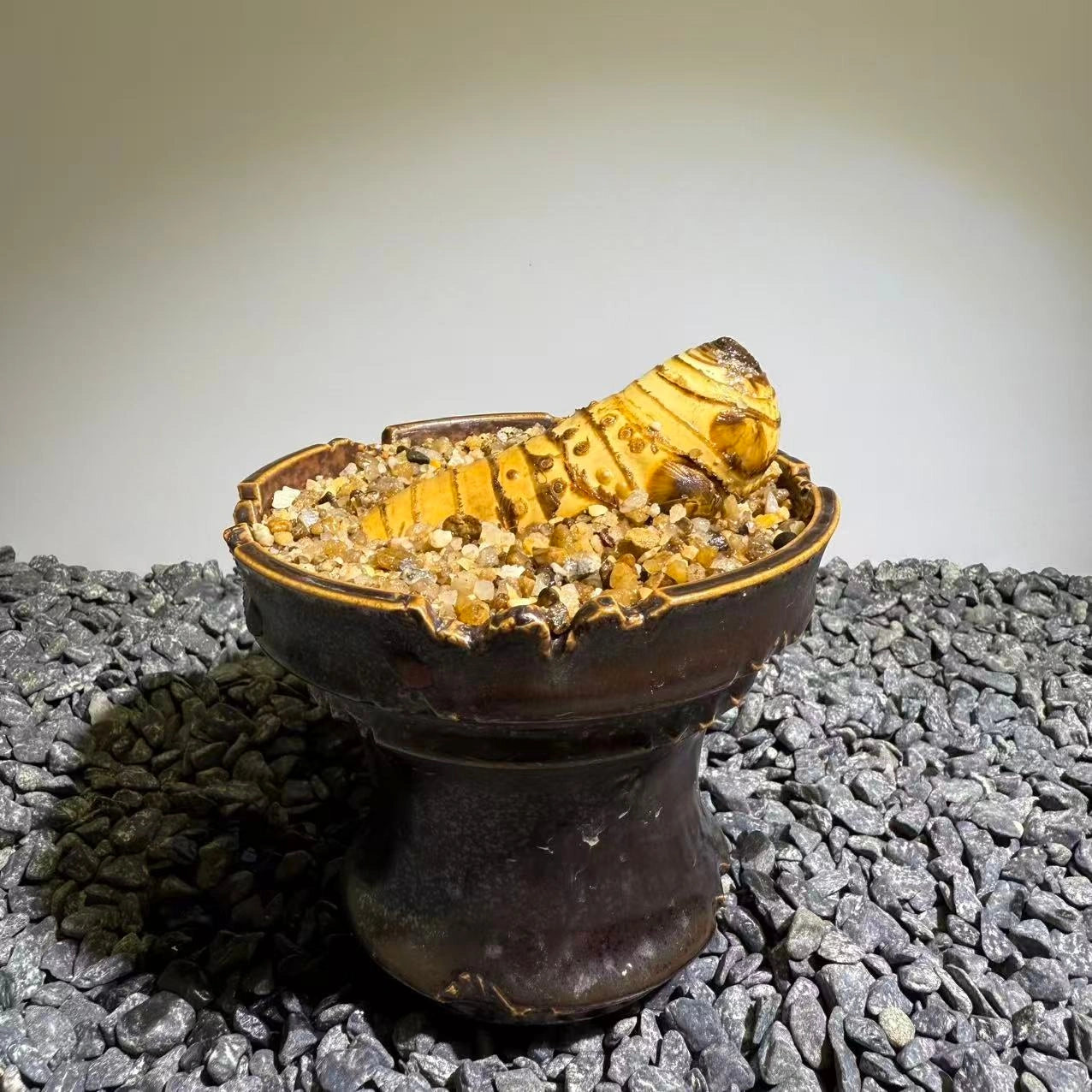 Insect Bamboo  Number013