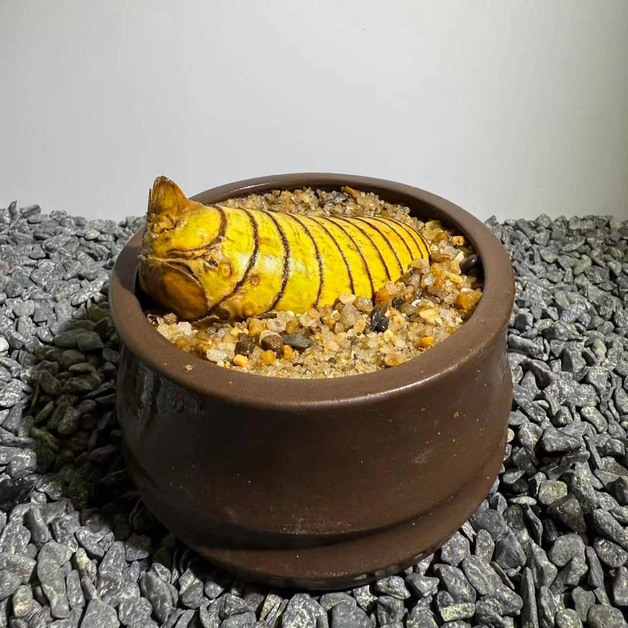 Insect Bamboo  Number014