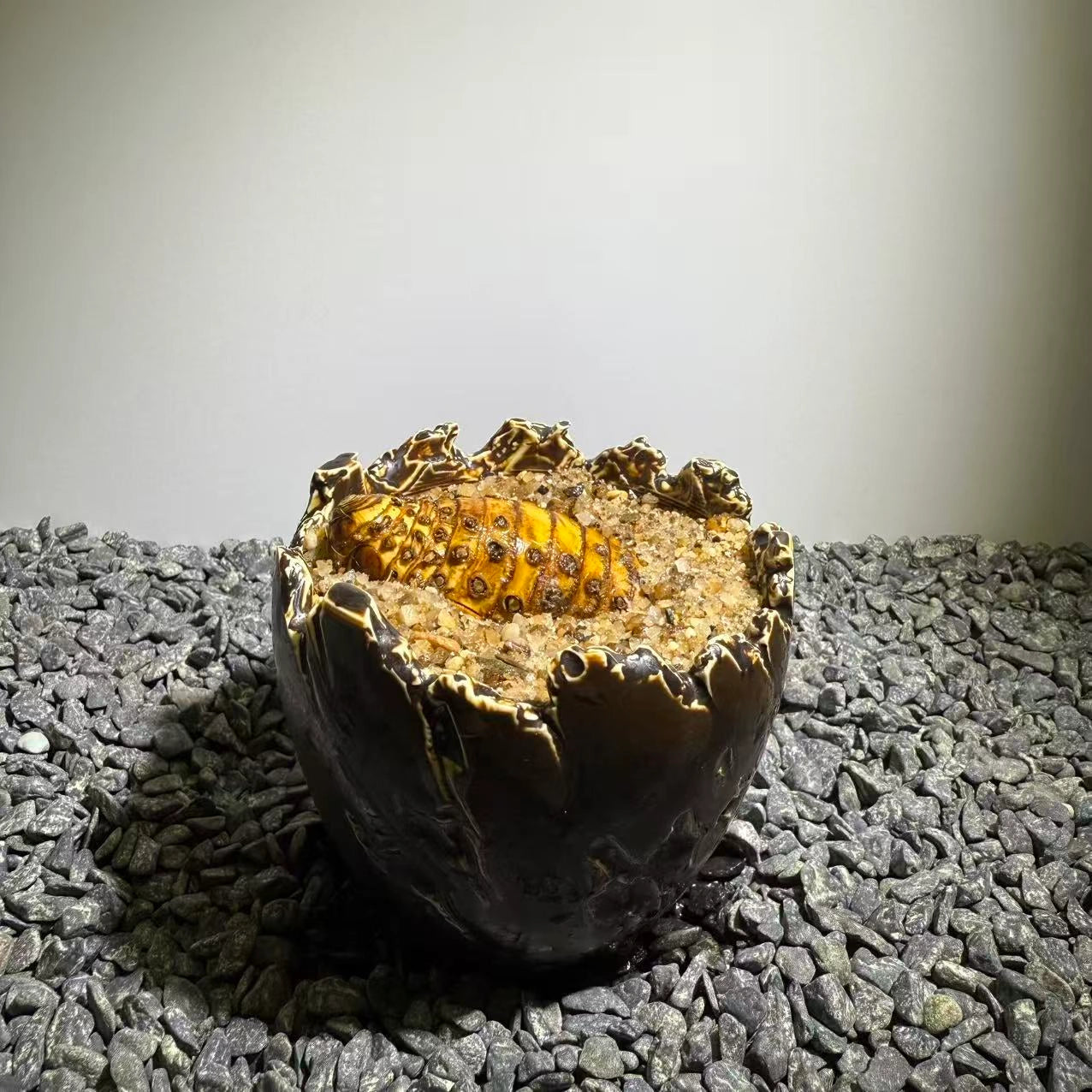 Insect Bamboo  Number017