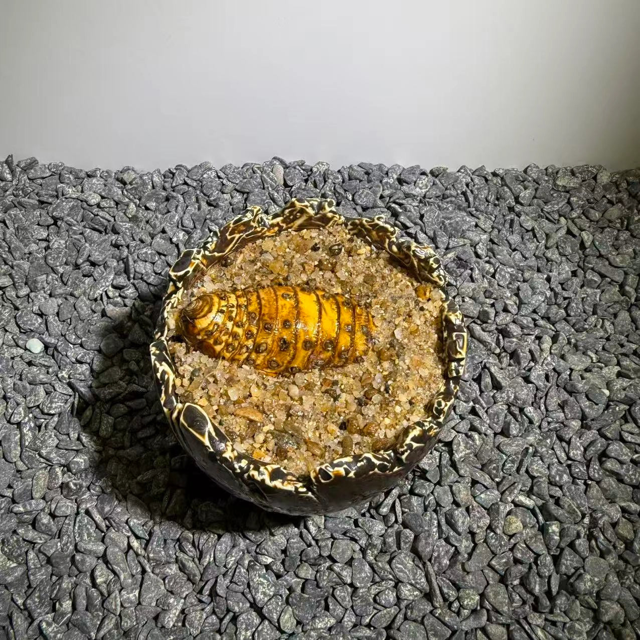 Insect Bamboo  Number017