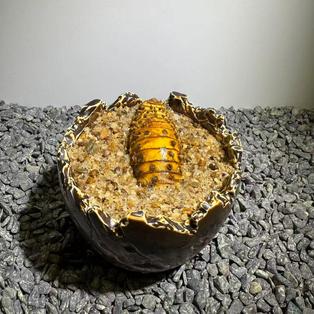 Insect Bamboo  Number017