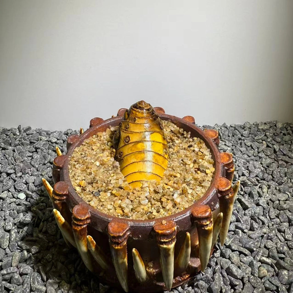 Insect Bamboo  Number018