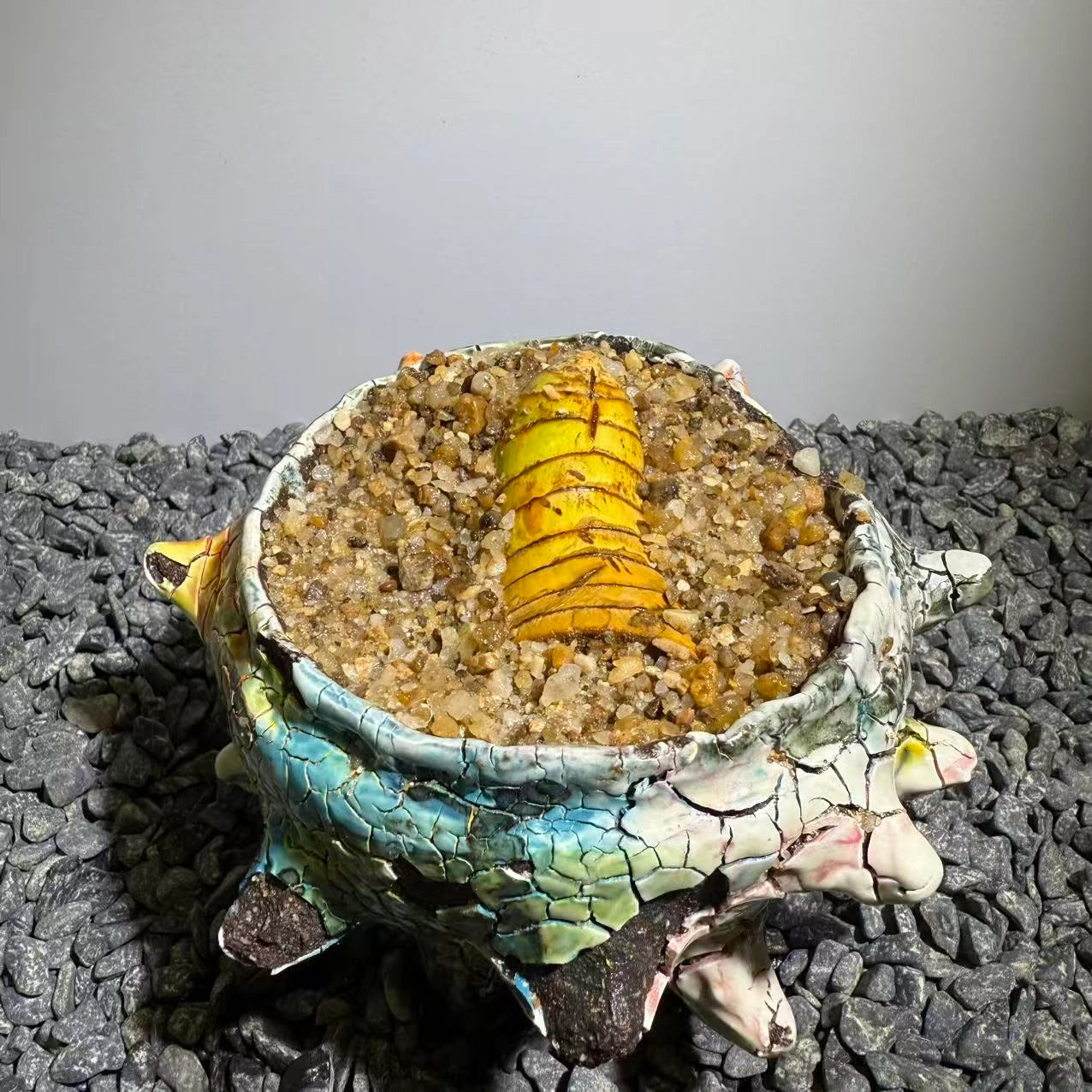 Insect Bamboo  Number019