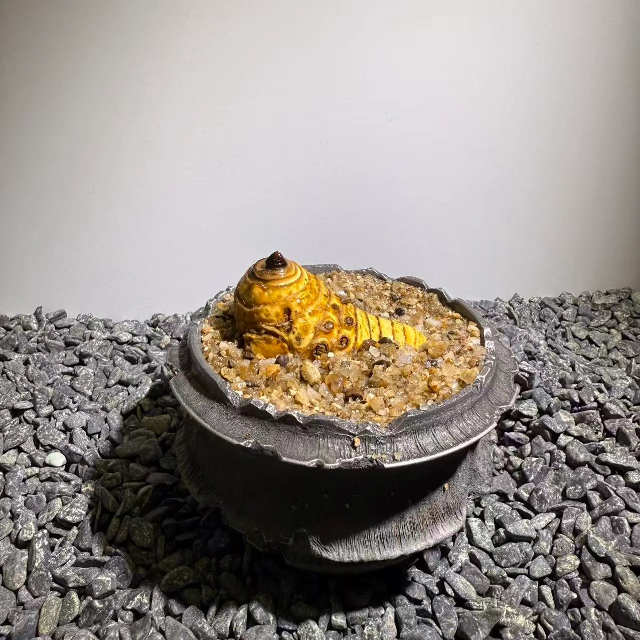 Insect Bamboo  Number020