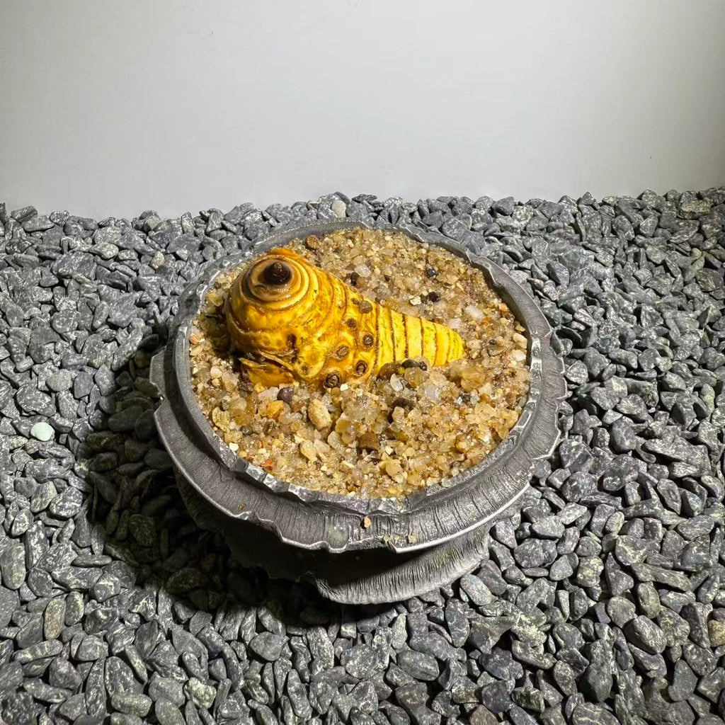 Insect Bamboo  Number020