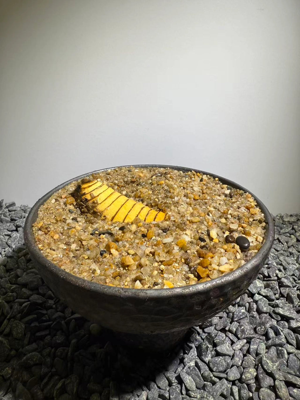 Insect Bamboo  Number021