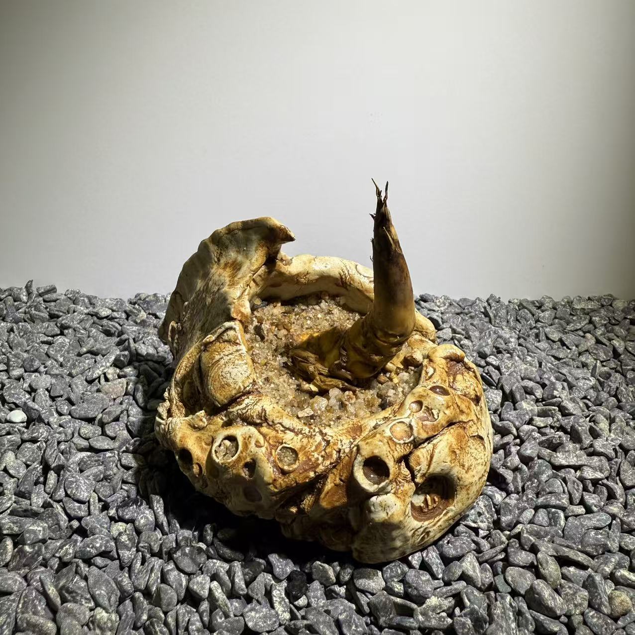 Rhinohorn Bamboo Number003