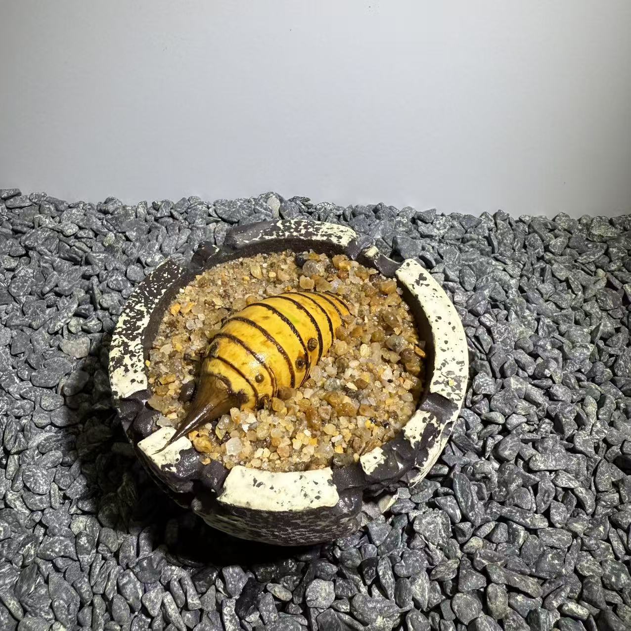 Rhinohorn Bamboo Number004