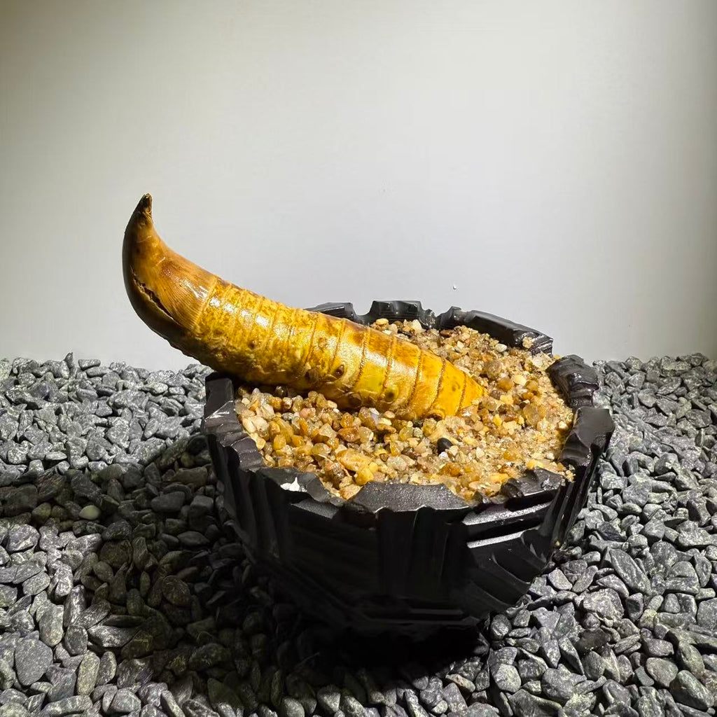 Rhinohorn Bamboo Number005