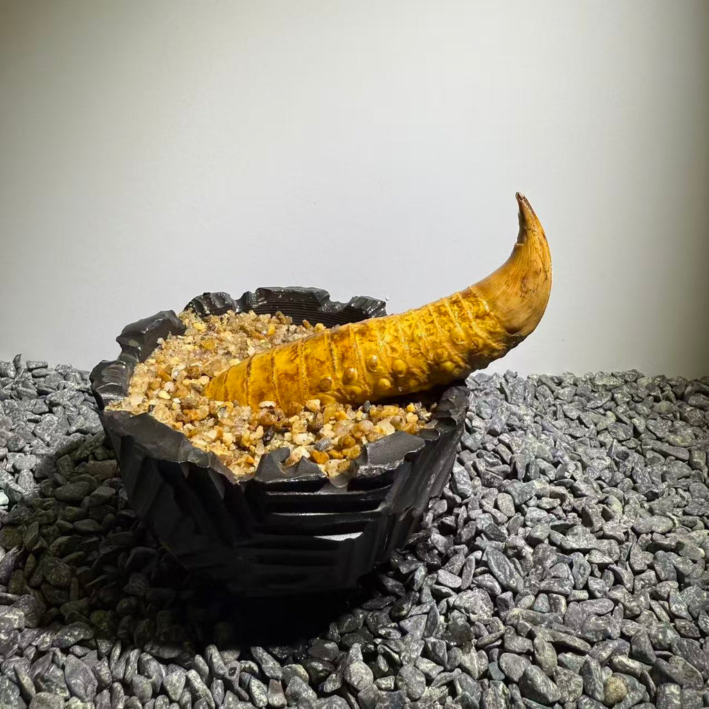 Rhinohorn Bamboo Number005