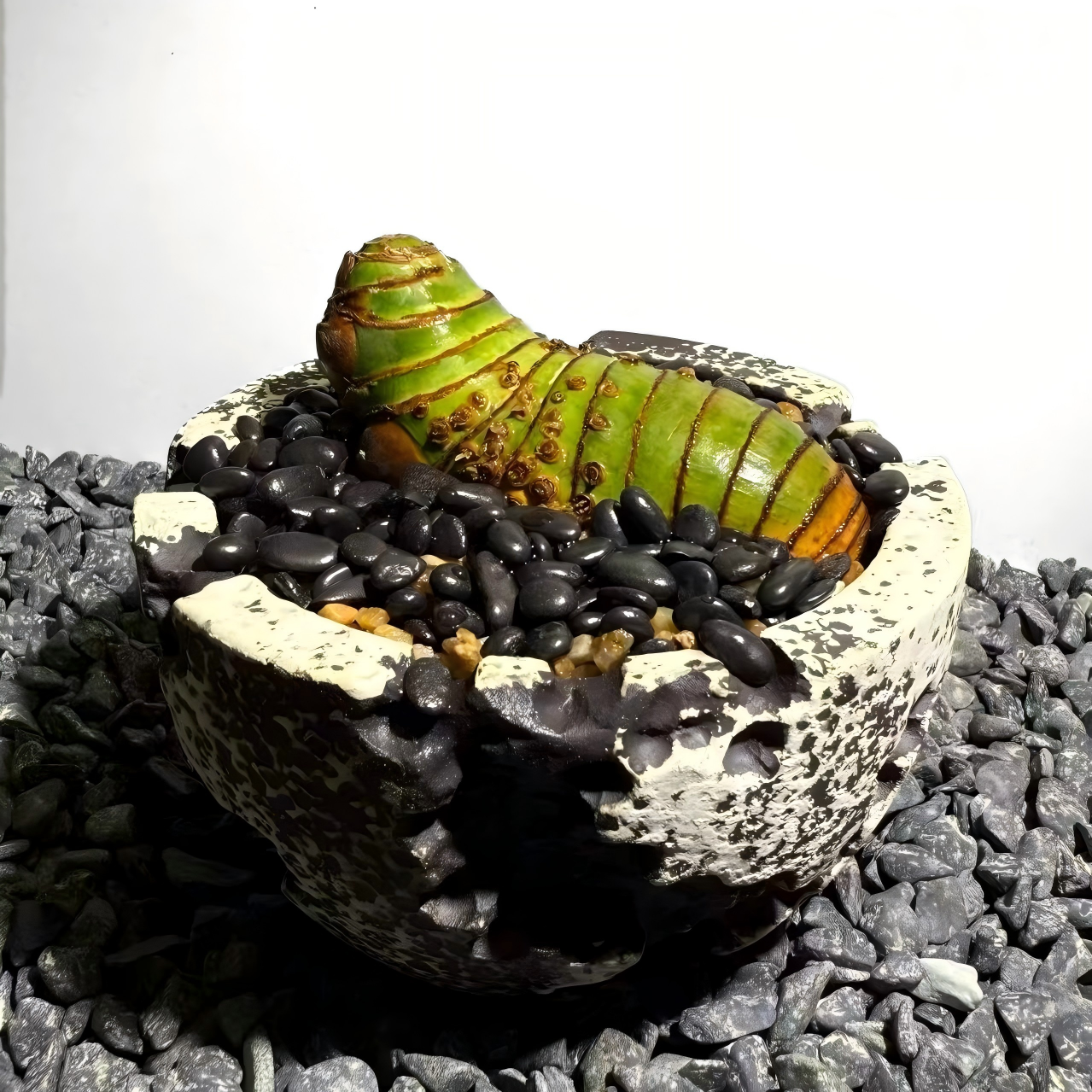 Insect Bamboo  Number001
