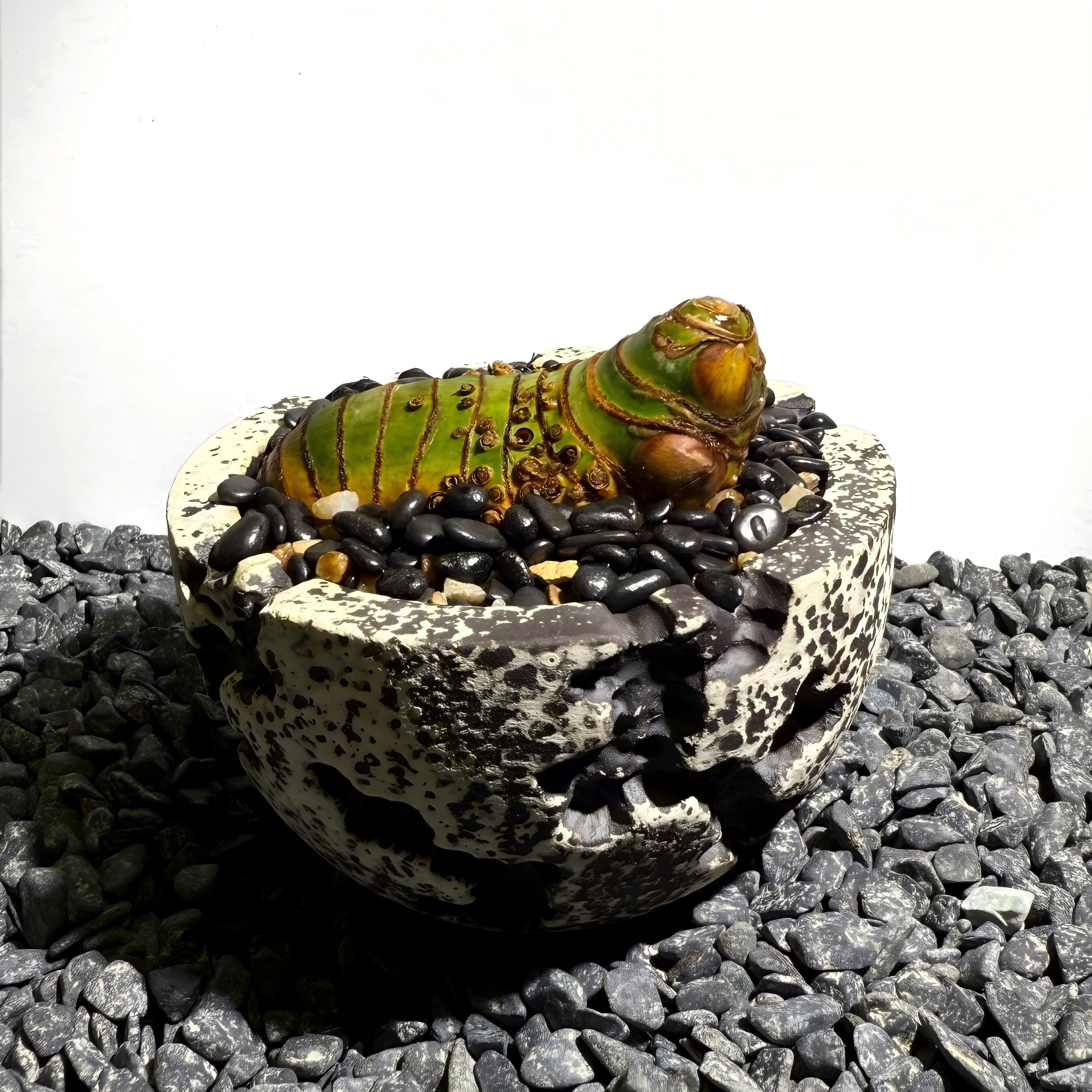 Insect Bamboo  Number001